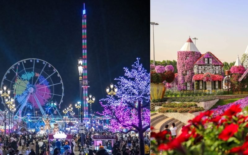 27331_upload655621f445a56_1700143604-0-en1700143609