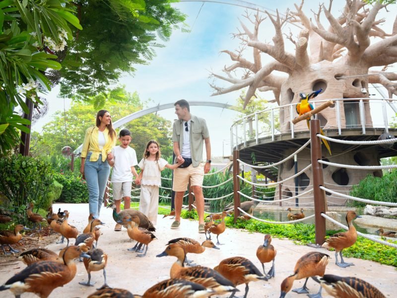 African-Grand-Aviary-1