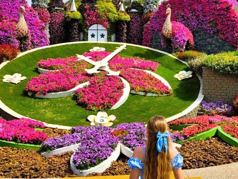 The-flower-clock-at-the-Dubai-Miracle-Garden