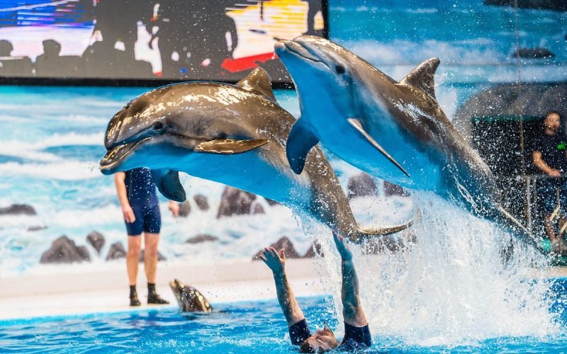 be-impressed-by-the-popular