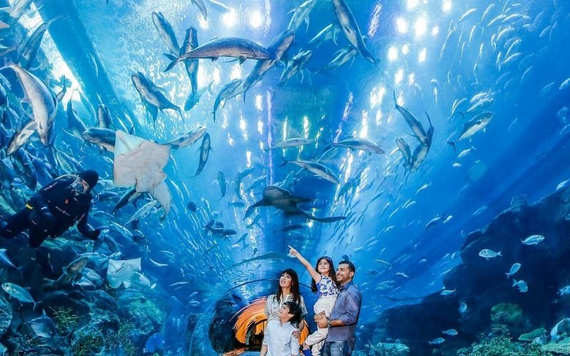 dubai-aquarium-underwater