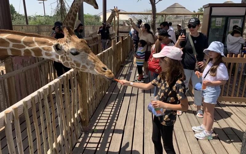 dubai-safari-park_8thDc