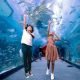 Dubai Aquarium & Underwater Zoo